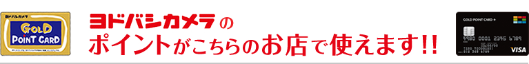 ヨドバシカメラのポイントがこちらのお店で使えます!!