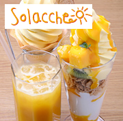 Solacche